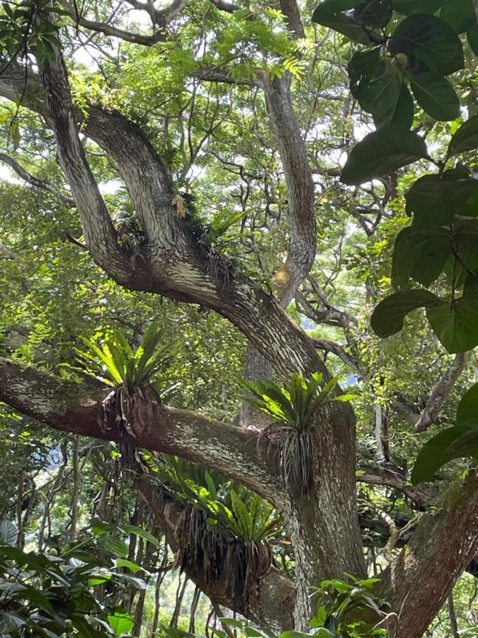 Ka Hale Kealoha Apartman Kaunakakai Kültér fotó