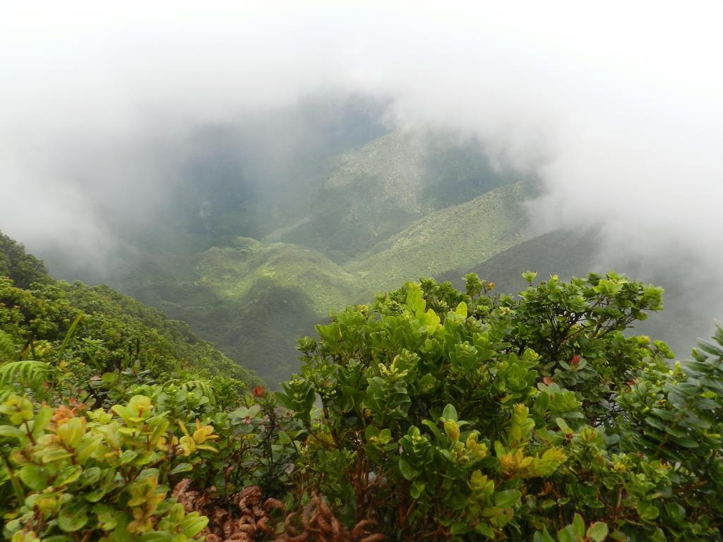 Ka Hale Kealoha Apartman Kaunakakai Kültér fotó